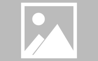 沛县肇庆教育网站建设（肇庆市教育平台登录入口）
